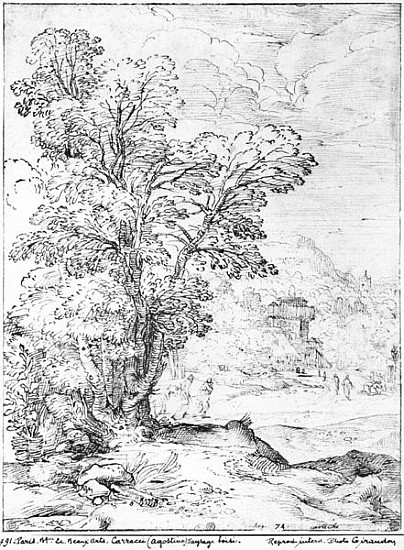 Wooded landscape de Agostino Carracci