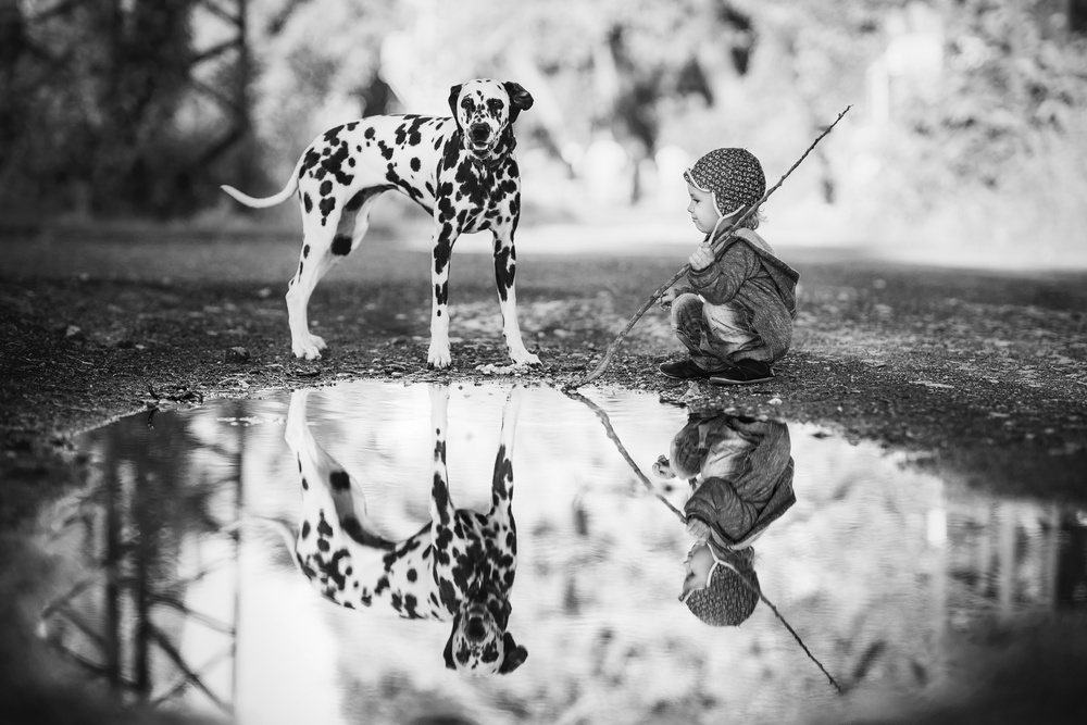 Little boy and dog in the park de Alan Hiller