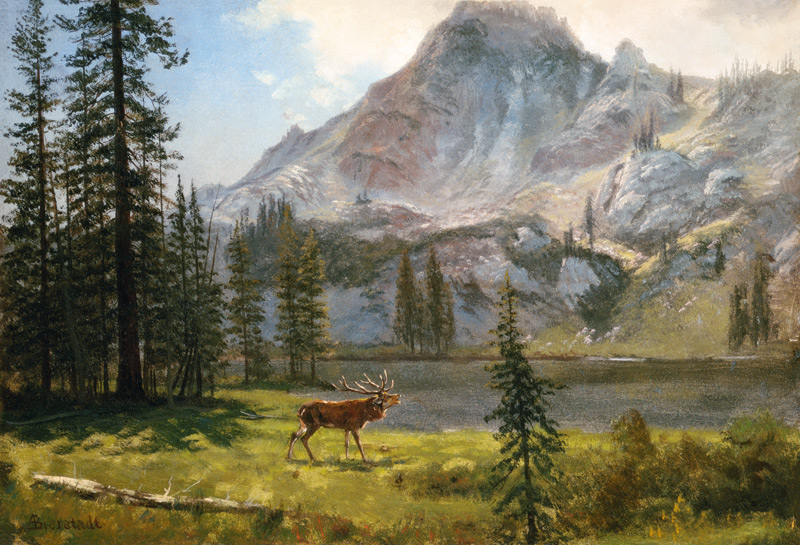 Call of the Wild de Albert Bierstadt