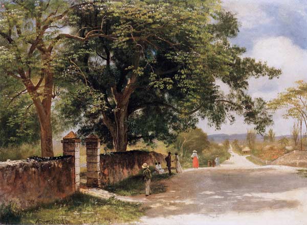 Straßeansicht in Nassau de Albert Bierstadt