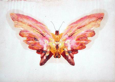 Butterfly de Albert Bierstadt