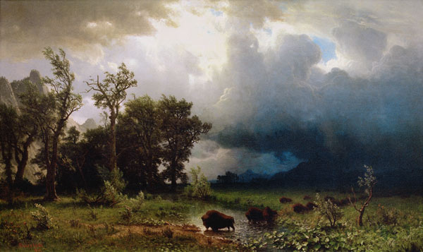 Der drohende Sturm. Der letzte Bueffel. de Albert Bierstadt