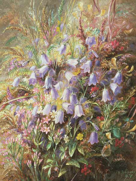 Harebells & other Woodland Flowers & Grasses de Albert Durer Lucas