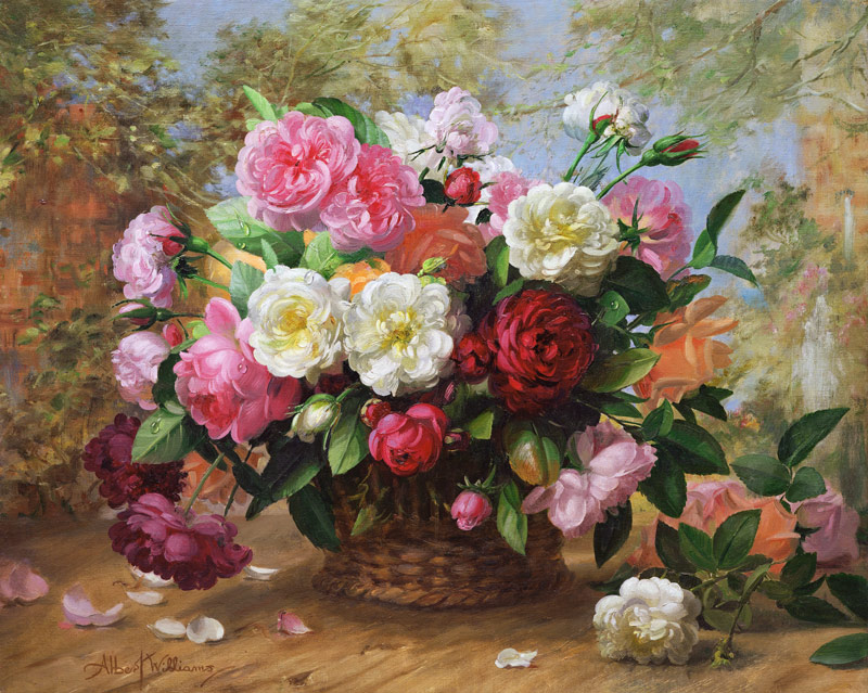 A/291 Heavens Beauty in a Summer Rose de Albert  Williams