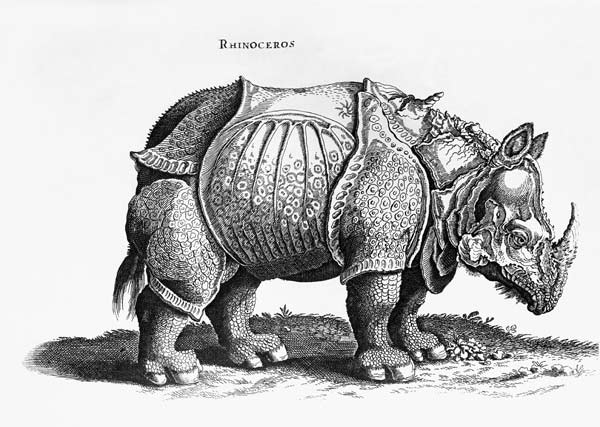 Rhinoceros, no.76 from ''Historia Animalium'' Conrad Gesner (1516-65) published in July 1815 de Alberto Durero