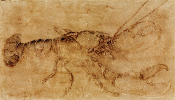 Lobster de Alberto Durero