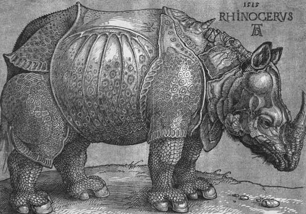 El Rinoceronte de Alberto Durero