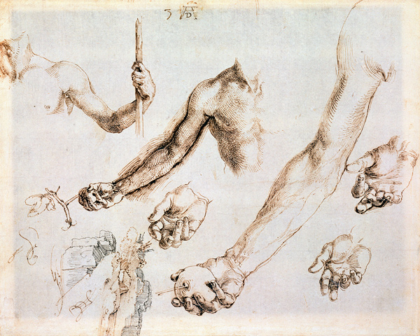 Study of male hands and arms (pen) de Alberto Durero
