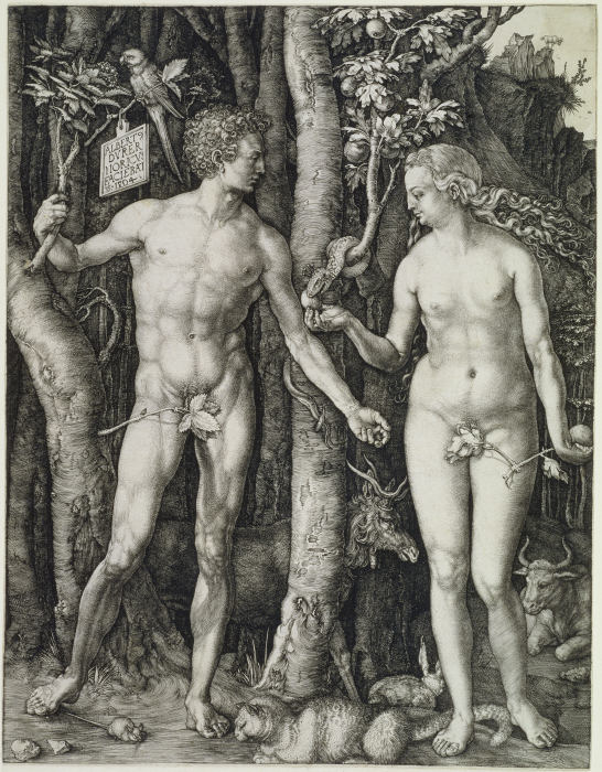 Adam and Eve (The Fall of Man) de Alberto Durero