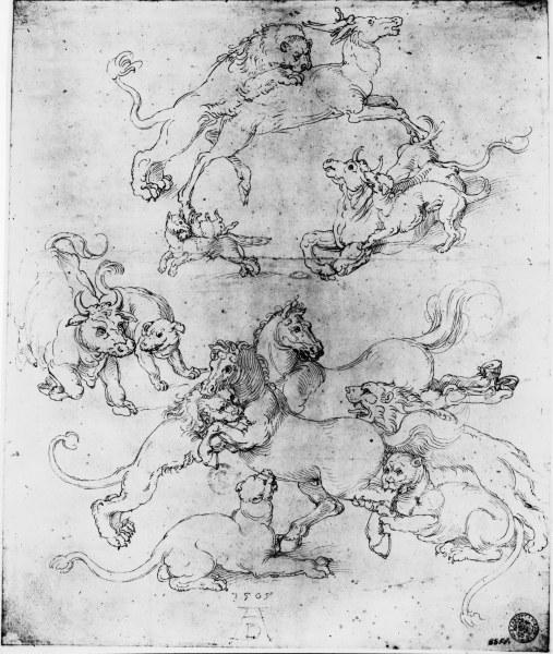 A.Dürer, Study of Attacked Animals/1505 de Alberto Durero