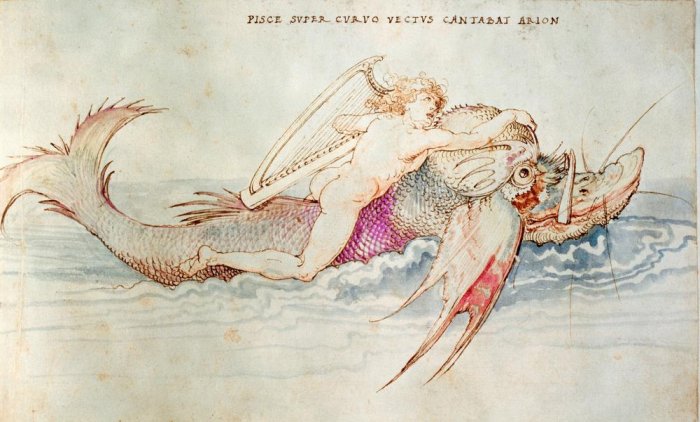 Arion wird von einem Delphin gerettet de Alberto Durero