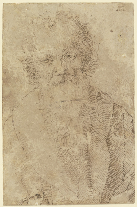 Bearded old man de Alberto Durero