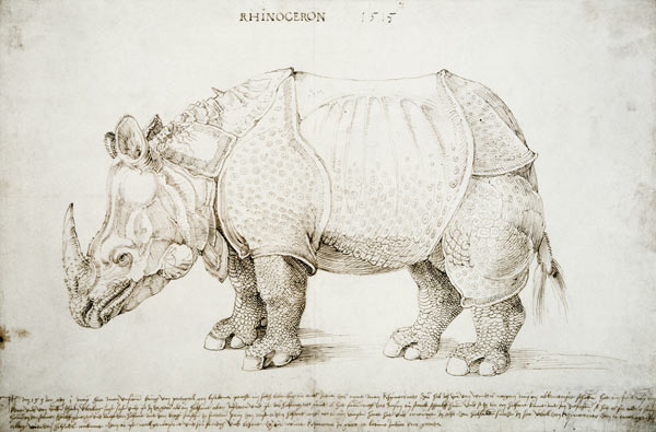 Rhinoceros de Alberto Durero