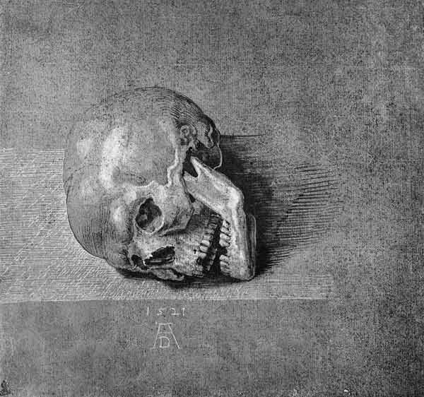 A.Dürer, Skull / Draw./ 1521 de Alberto Durero