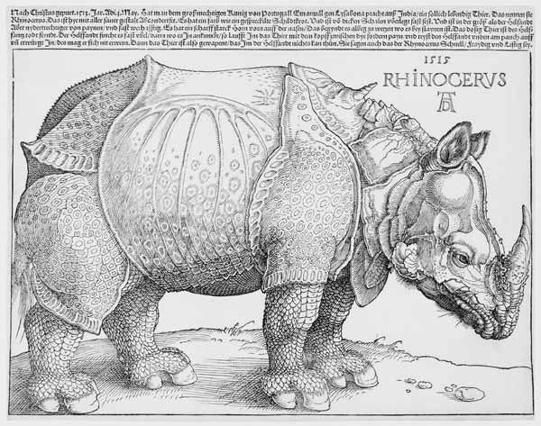 The Rhinoceros de Alberto Durero