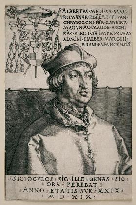 Albrecht von Brandenburg (''Kleiner Kardinal'')