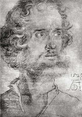 Head of Mark the Evangelist / Dürer