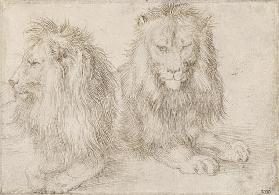 Two seated lions