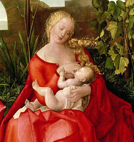 Virgin and Child ''Madonna with the Iris'', 1508 (detail of 22578) de Alberto Durero