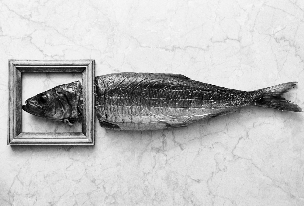 Fish portrait de Aleksandrova Karina
