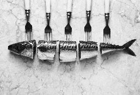 Mackerel&Forks