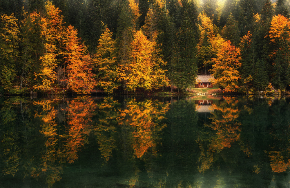 Autumn impressions de Ales Krivec