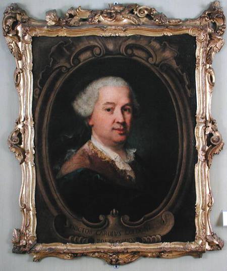 Portrait of Carlo Goldoni (1707-93) de Alessandro Longhi