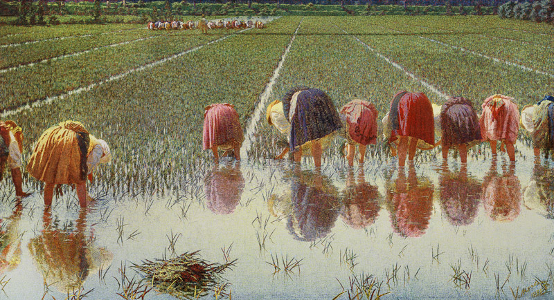 For eighty cents (work in the paddy-field) de Alessandro Morbelli