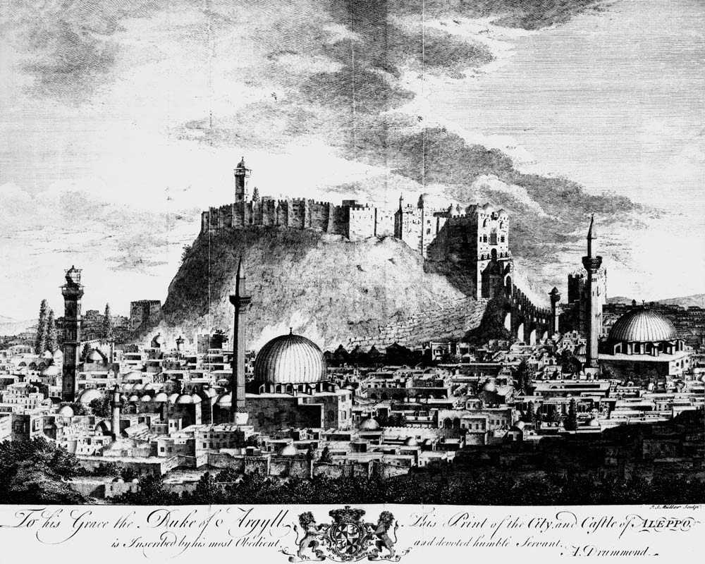 A view of the city and castle of Aleppo, Syria de Alexander Drummond