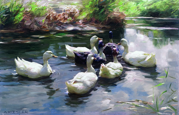 Ducks in a Pond de Alexander Koester