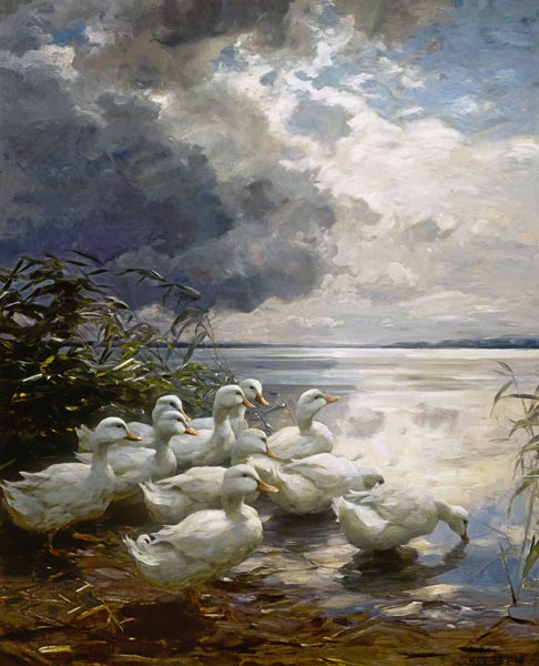 Ducks on an overcast sea shore de Alexander Koester