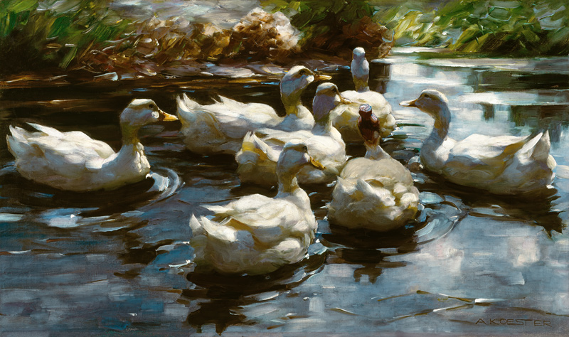 Ducks in the pond de Alexander Koester