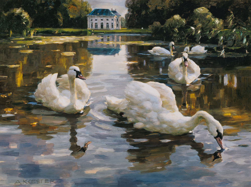 Swans in the Nymphenburger castle grounds de Alexander Koester