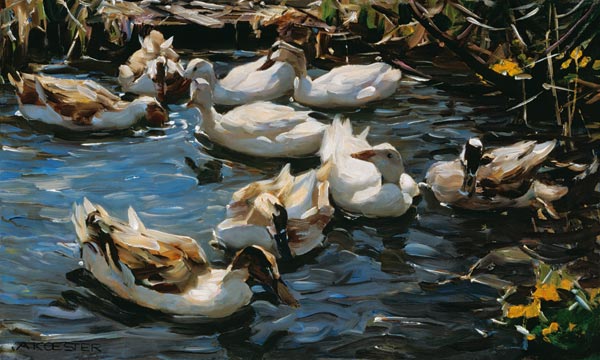 Nine ducks in the early spring de Alexander Koester