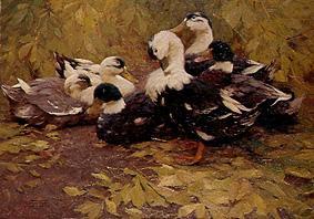 Six ducks in the Herbstlaul de Alexander Koester