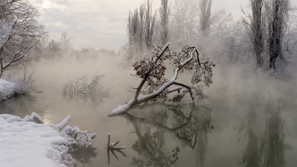 Fog over the water de Alexander Plekhanov