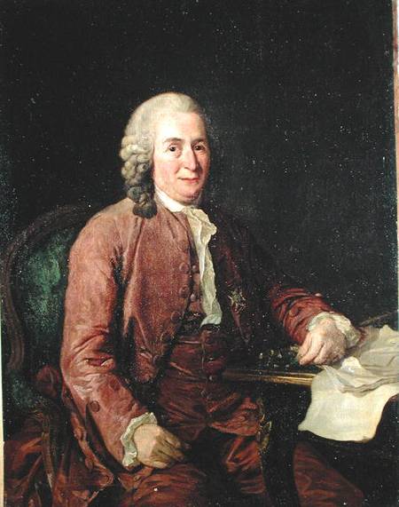 Portrait of Carl von Linnaeus (1707-78) de Alexander Roslin