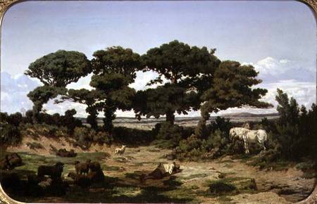 The Oaks of Kertregonnec de Alexandre Sege