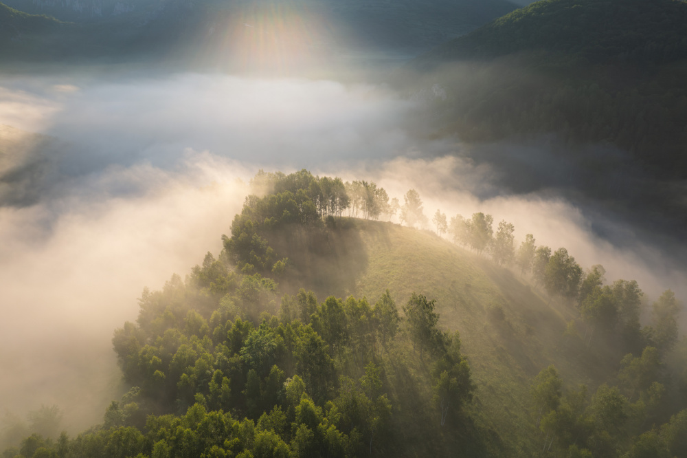 Above the foggy forest de Alexandru Ionut Coman