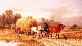 Carting hay