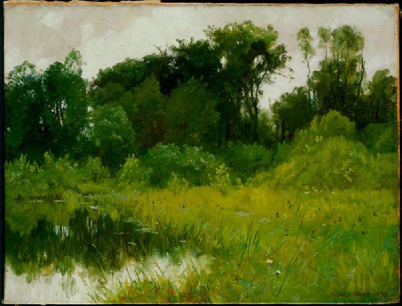 After Rain, on Minnehaha Creek, 1897 (oil on canvas) de Alexis Jean Fournier