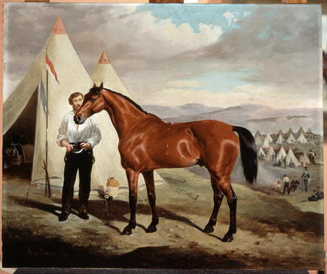 Sir Briggs, horse of Lord Tredegar (1831-1913) of the 17th Lancers, in Camp in Crimea 1854, 1856 (oi de Alfred de Prades