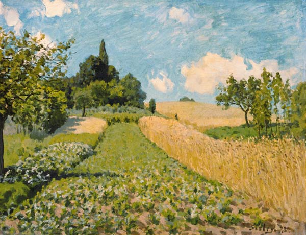 Summer landscape with fields de Alfred Sisley