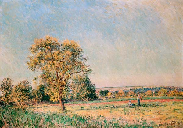 Summer landscape with a big tree. de Alfred Sisley