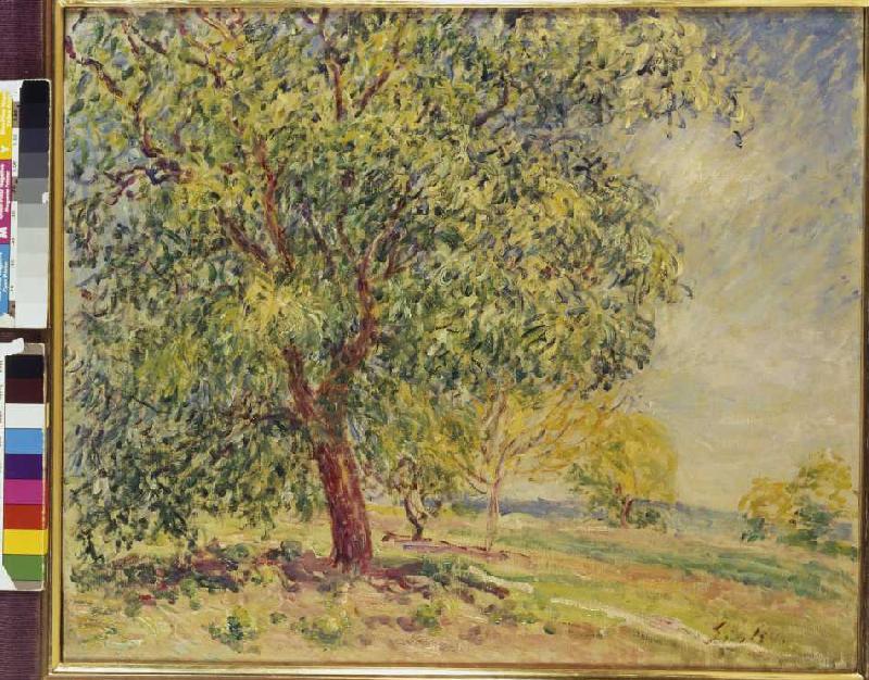 Walnut trees at Sablons. de Alfred Sisley