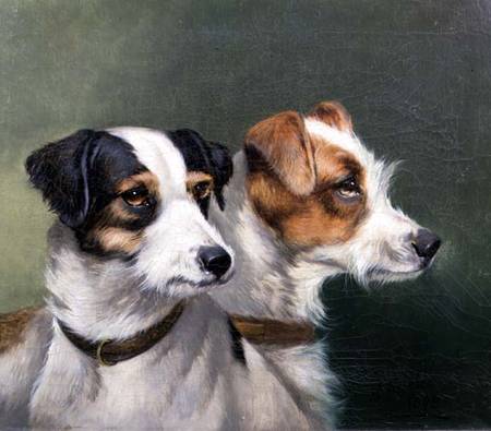 Two Fox Terriers de Alfred Wheeler