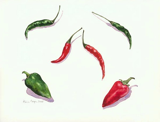 Chillies and Peppers, 2005 (w/c on paper)  de Alison  Cooper