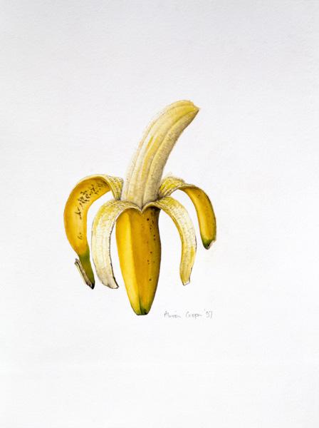 Un plátano a medio pelar