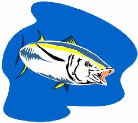 Yellow fin tuna