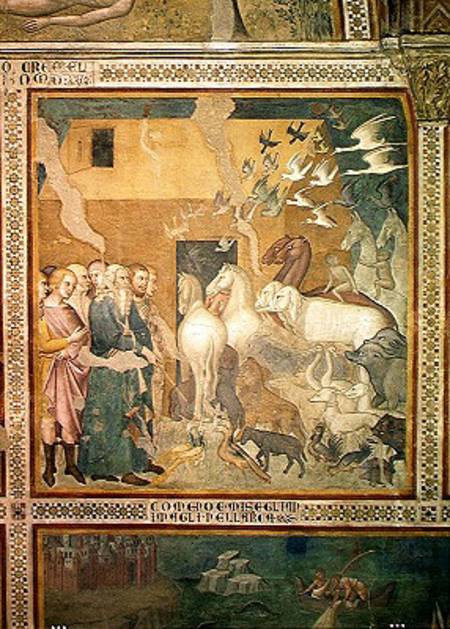 Noah Leading the Animals into the Ark de also Manfredi de Battilori Bartolo di Fredi